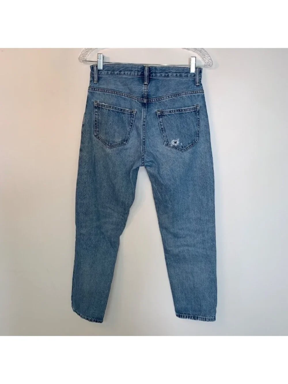 Everlane O-S Boy Friend Distressed Cropped Blue Jeans 25